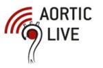 aortic_live