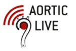 aortic_live aortic_live